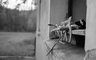 Pomozte nám postavit trojbox pro ustájení hiporehabilitačních koní DORADO z. s.