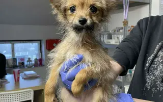 Lepší život pro Katie