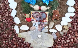 9 nalezených Lásek