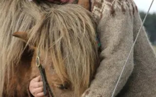 IRIS - bojovnice v těle islandského koně