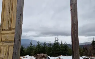 Pomozme Ele opět poznávat svět