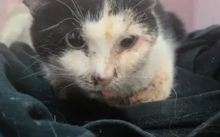 Rok 2025 je nejhorší za dobu fungování. POTŘEBUJEME POMOCI