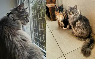 Áronkův boj s rakovinou