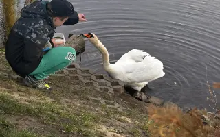 Pomozte dostat Světlemodré srdce mezi čtenáře