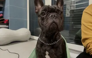 Pomozme Calvinovi zpět na nožičky