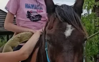 Prosím, pomozte Kačence ulehčit cestu životem