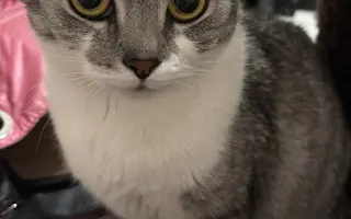 Daisy bojuje o život. Pomozme jí znovu dýchat