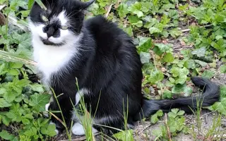 Pomozte prosím Daisy znovu dýchat ❤️