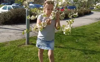 ❤️ Pomozme Sofince zvládat bolest i běžný život bezpečně