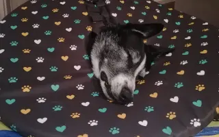 Život bez bolesti pro Mildu