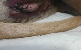 Pomozte Matýskovi zase běhat