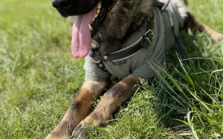 Léčba, která nekončí - Fůrie