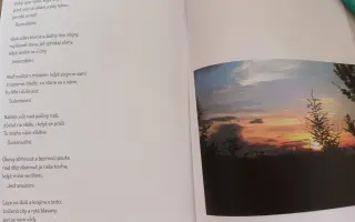 Pomozme handicapované umělkyni