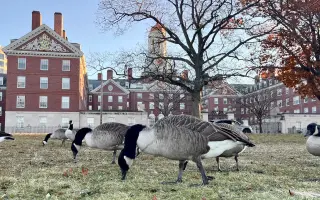 Jedu se učit měnit školství na Harvard