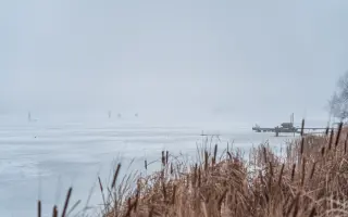 POŠLI AUTA NA UKRAJINU