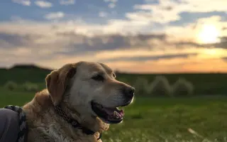 Naděje pro Miu ❤️