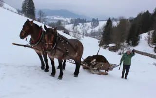 Furmani z Beskyd
