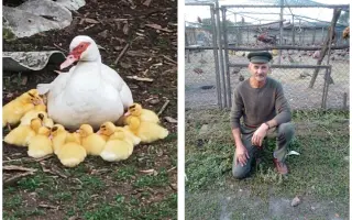 Pomozme společně obnovit zničenou farmu a živobytí farmáře Vládi!