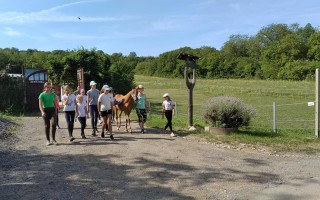 Pomozte hříbátku - darujte šanci Princezně Leie na plnohodnotný život