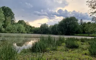 Nový začátek pro maminku a syny