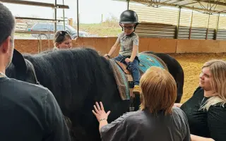 Pomozte nám postavit trojbox pro ustájení hiporehabilitačních koní DORADO z. s.