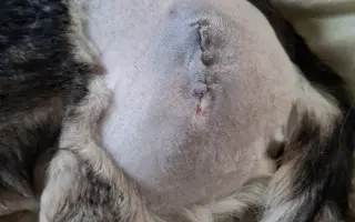 Druhá šance pro Dirka z osady na lepší život