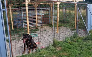 Pomáháme rotvíkům lépe bydlet