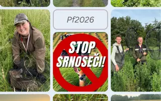 Očima neviditelní - Dronem k záchraně mláďat