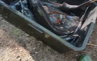 Obnova života rybníka po otravě ryb
