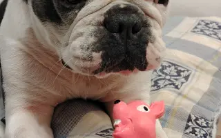 Zachráňte Marilyn bojující s rakovinou