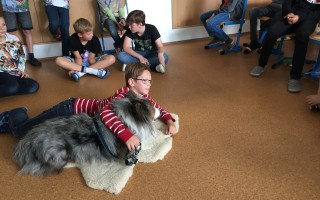 Canisterapie CANTES v krajích ČR jako sociální rehabilitace