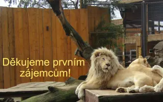 Podpořte vydání deskové hry ZOO, LOVCI, ZVÍŘATA