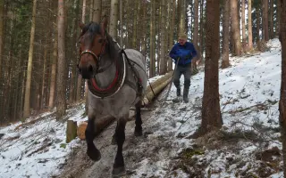 Furmani z Beskyd