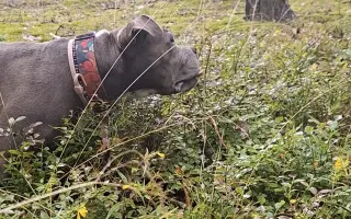 Pomozme Ele opět poznávat svět