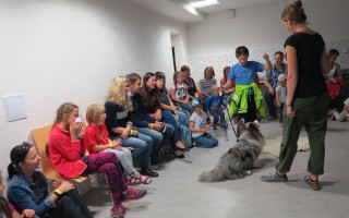 Canisterapie CANTES v krajích ČR jako sociální rehabilitace