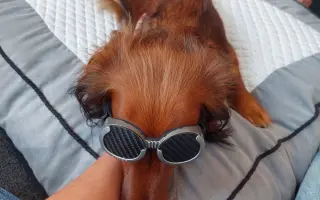 ...aby Ellie zase skákala přes kaluže