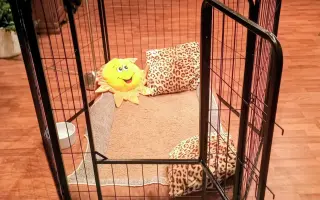 POMOC PRO FOXÍČKA, ASPENA A TAFFY-JACKA