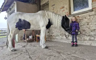 Pomozte kobylce znovu stát na nohou