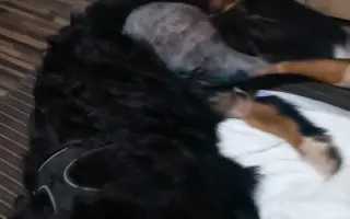 Pomozte Maxovi znovu běhat! 🐾