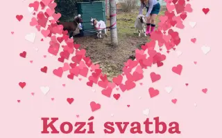 Pomozte nám naplnit jesle zachráněným ovcím a kozám z Farmy Kapsa