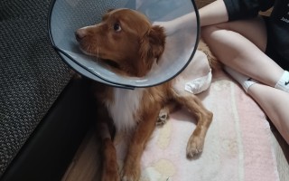 Pomozte Endýskovi zůstat déle se svou rodinou