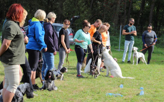 Pomoc pro opětovné stěhování psího cvičáku v Kaplici