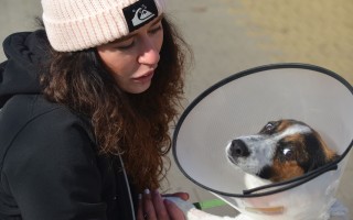 Pomozme s veterinárními náklady opuštěným zvířatům