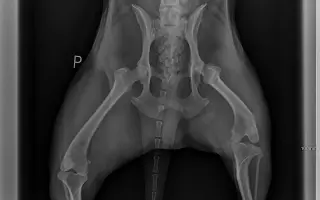 Druhá šance pro Dirka z osady na lepší život