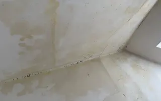 Pomoc pro Alenku a Alenu: Nový začátek po požáru