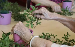 Darujte seniorům květinovou radost o Vánocích
