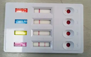 POMOC PRO FOXÍČKA, ASPENA A TAFFY-JACKA