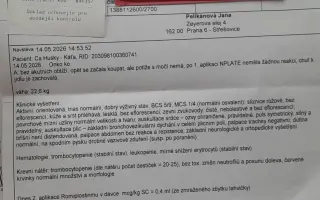 Velká šance pro bojovnici Kačku