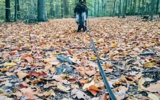 Pomoc Furině v boji s lupusem (SLE)