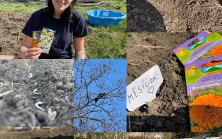 Podpořte bylinkový projekt Azeret Herbs